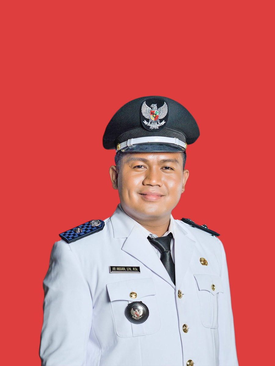 Ari Anggara